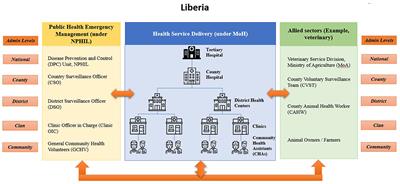 Liberia health system's journey to long-term recovery and resilience post-Ebola: a case study of an exemplary multi-year collaboration